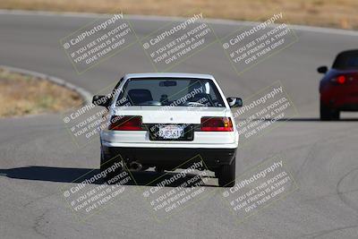 media/Nov-19-2023-Extreme Speed (Sun) [[bd0eec5490]]/Purple/Back Shots/